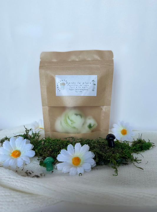Paquet de pastilles de soya - Après la pluie